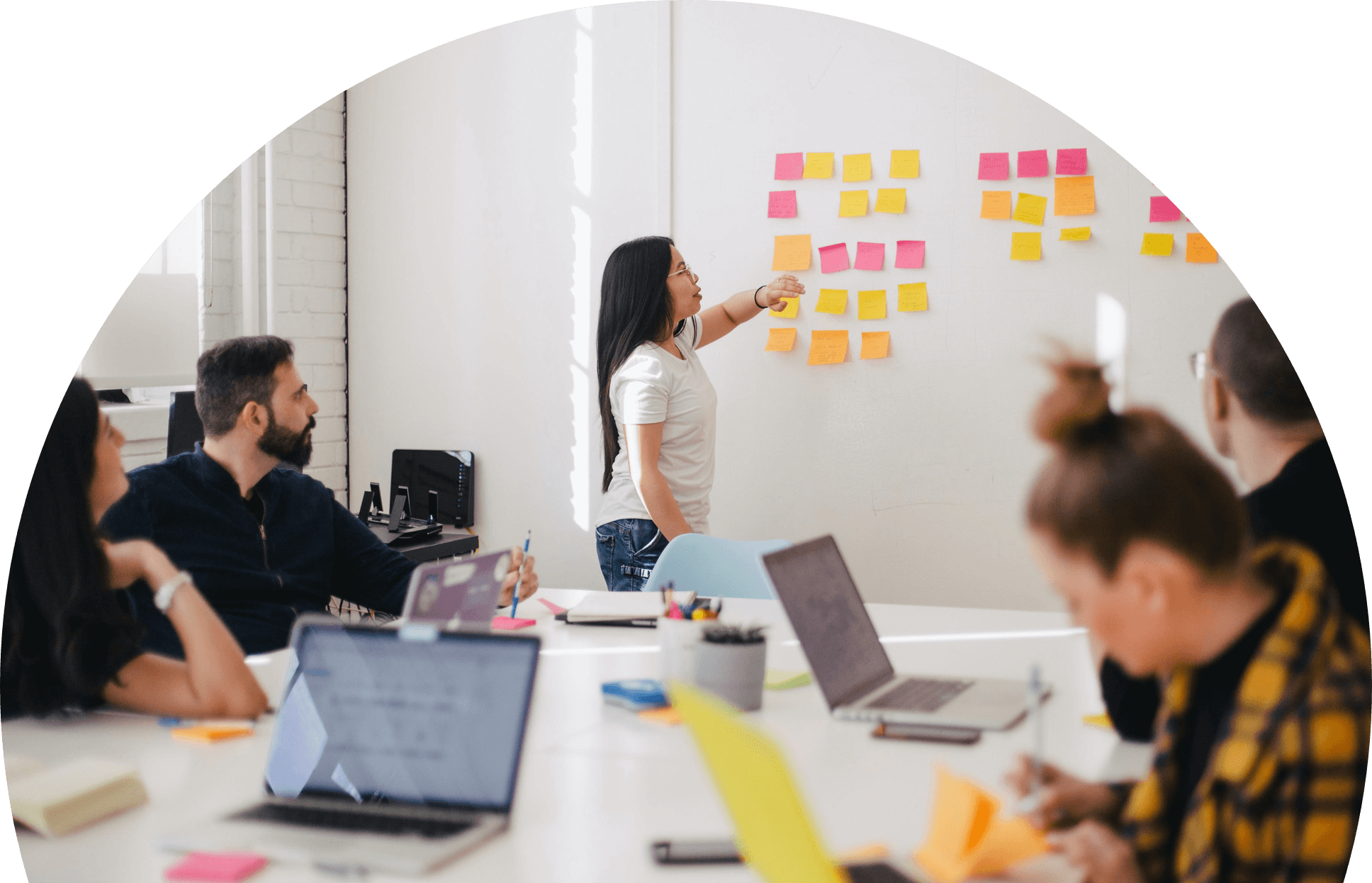 Nzoq New Zealand Organisation For Quality