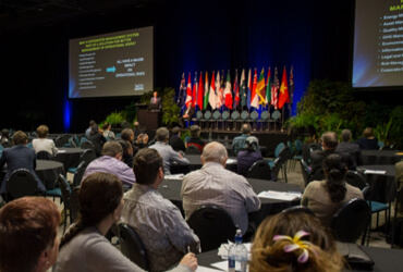 NZOQ–Lysaght Conference Scholarship